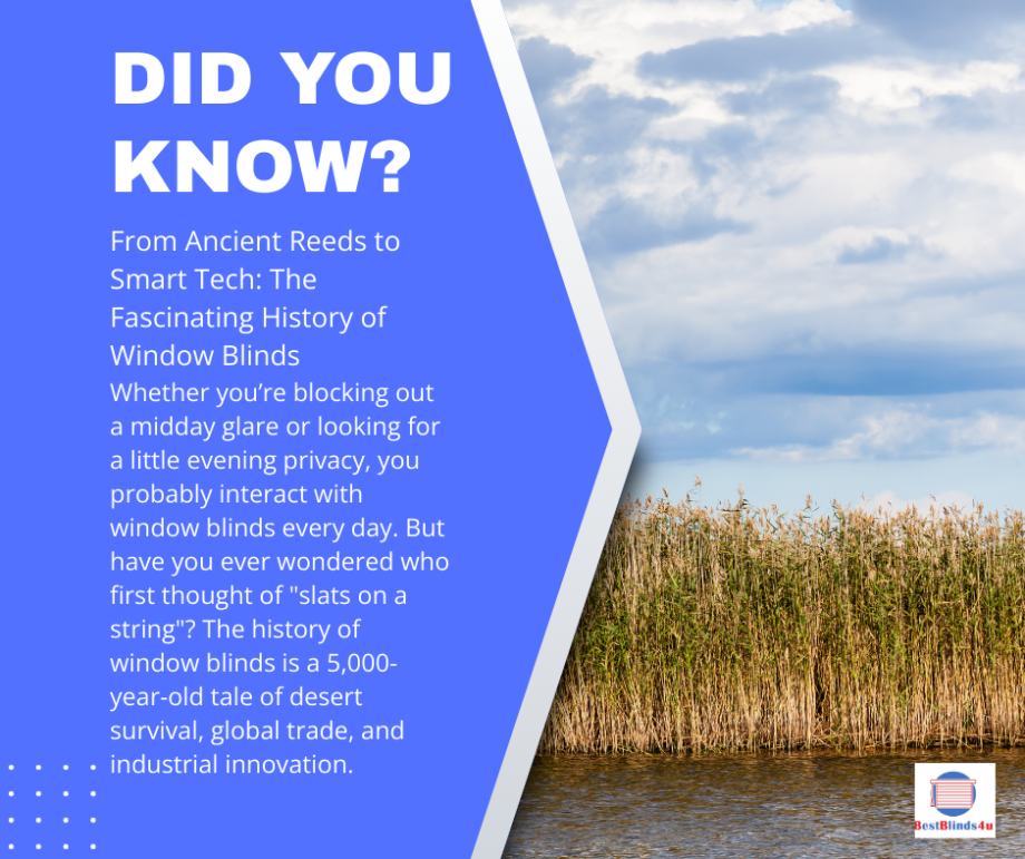 The History of Window Blinds